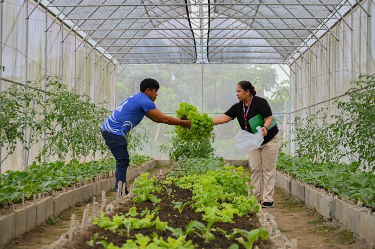 SustainABLE: Cabatuan Demo Farm cultivates more than just crops