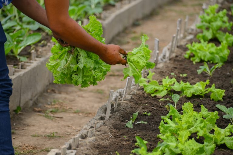 Hapag ng Ani: What Are We Feeding Our Children?